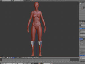 realistic human basemesh - rigged - uvmapped - woman body 3D Model