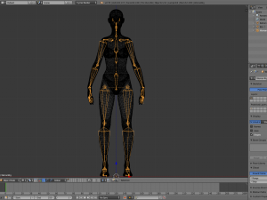 realistic human basemesh - rigged - uvmapped - woman body 3D Model