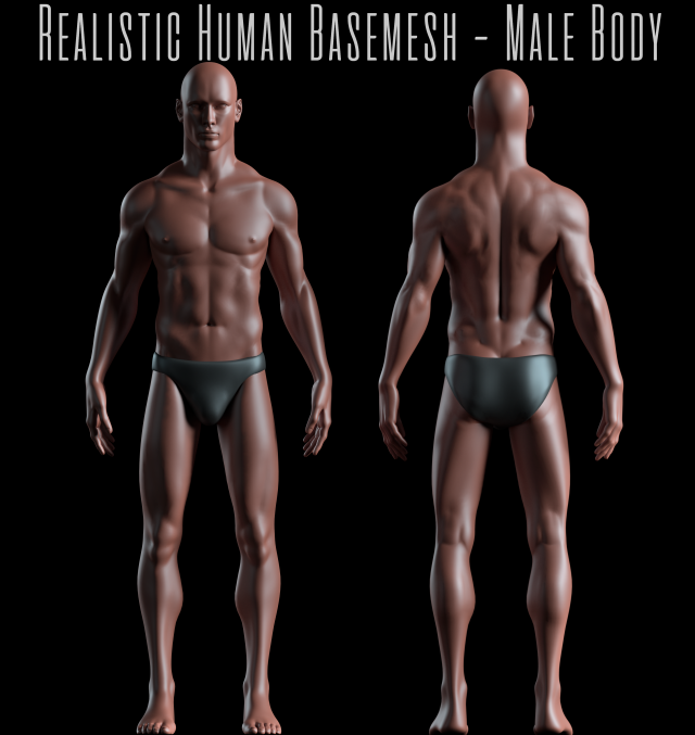 realistic human basemesh - rigged - uvmapped - man body 3Dモデル .c4d .max .obj .3ds .fbx .stl .blend 