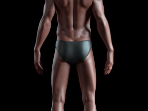 realistic human basemesh - rigged - uvmapped - man body 3D Model