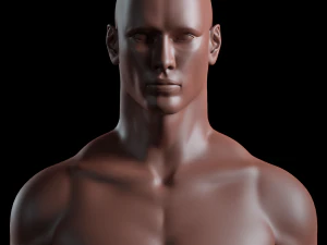 realistic human basemesh - rigged - uvmapped - man body 3D Model