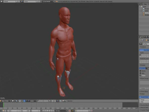 realistic human basemesh - rigged - uvmapped - man body 3D Model