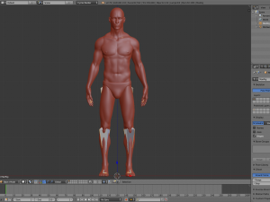 realistic human basemesh - rigged - uvmapped - man body 3Dモデル