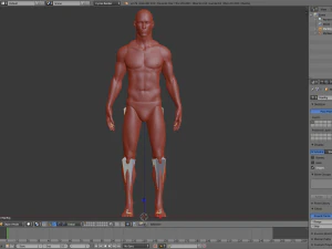 realistic human basemesh - rigged - uvmapped - man body 3D Model
