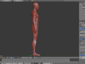 realistic human basemesh - rigged - uvmapped - man body 3D Model