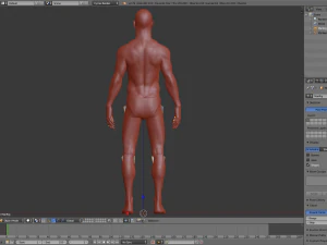 realistic human basemesh - rigged - uvmapped - man body 3D Model
