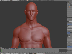 realistic human basemesh - rigged - uvmapped - man body 3D Model