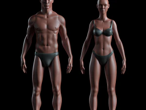 реалистичная человеческая базовая сетка - оснащена - uvmapped - мужское женское тело 3D Модель