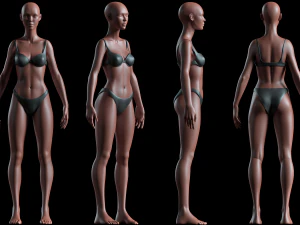 realistic human basemesh - rigged - uvmapped - ultimate pack 3D Model