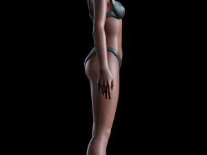 realistic human basemesh - rigged - uvmapped - ultimate pack 3D Model