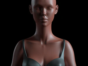 realistic human basemesh - rigged - uvmapped - ultimate pack 3D Model