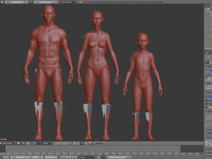 realistic human basemesh - rigged - uvmapped - ultimate pack 3D Model