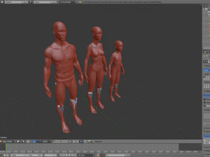 realistic human basemesh - rigged - uvmapped - ultimate pack 3D Model