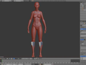 realistic human basemesh - rigged - uvmapped - ultimate pack 3D Model