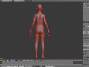 realistic human basemesh - rigged - uvmapped - ultimate pack 3D Model