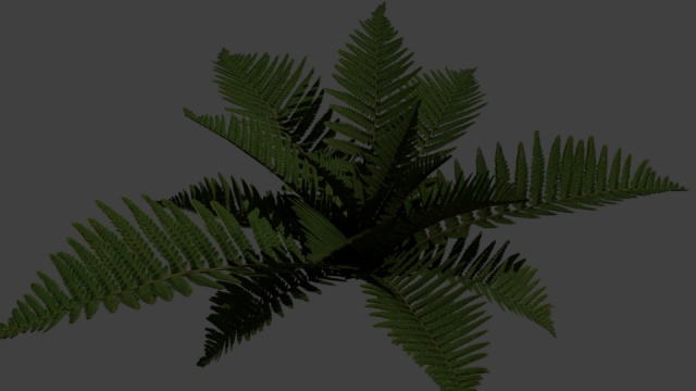 fern simple 3D Model .c4d .max .obj .3ds .fbx .stl .blend 