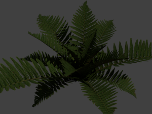 fern simple 3D Model