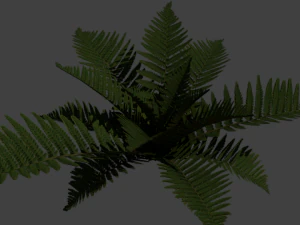 फर्न सरल 3D मॉडल