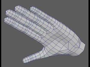 arm 3D Model
