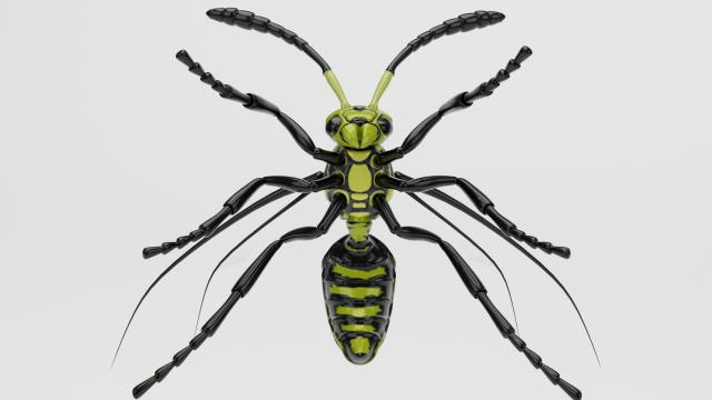 wasp insect nature Model 3D .c4d .max .obj .3ds .fbx .stl .blend 
