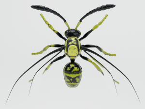 wasp insect nature Model 3D
