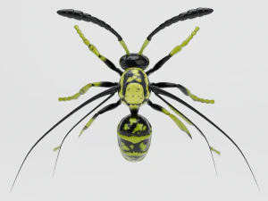 wasp insect nature 3D Model