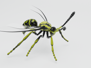 wasp insect nature Model 3D