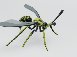 wasp insect nature Model 3D