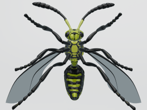 wasp insect nature Model 3D