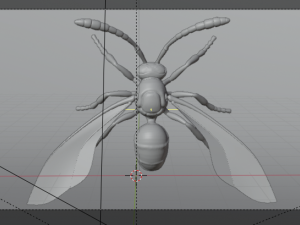wasp insect nature Model 3D