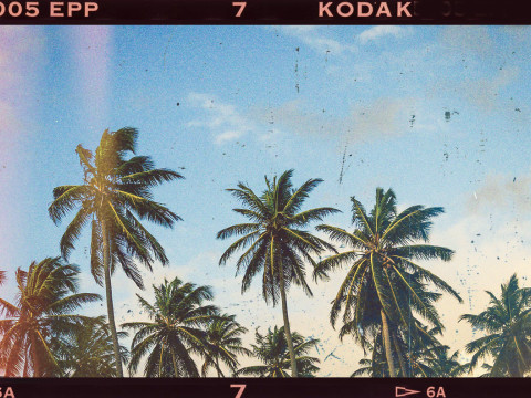 25 Analog Film Overlays for Photoshop CG Tekstury