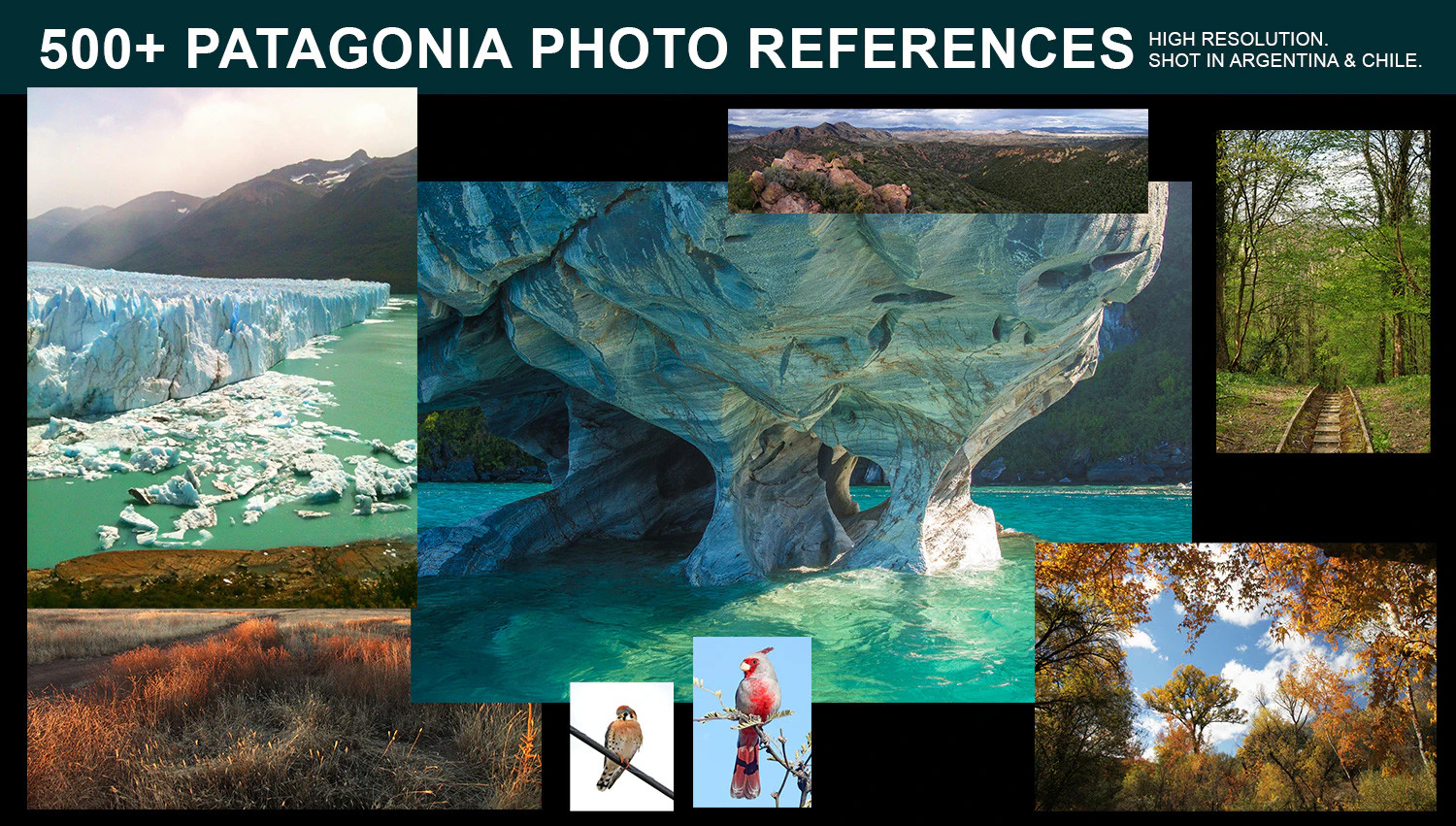 Patagonia Photo Reference Pack CG Textures .c4d .max .obj .3ds .fbx .stl .blend 
