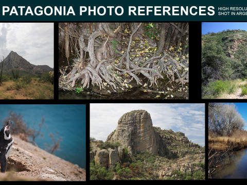 Patagonia Photo Reference Pack CG टेक्स्चर्स