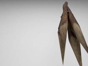 spear 3Dモデル