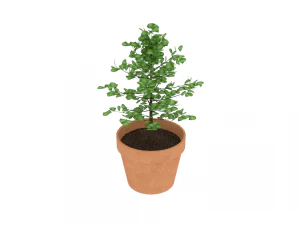 maceta simple de baja poli Modelo 3D