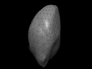 rock01 3D Model