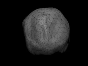 rock01 3D Model