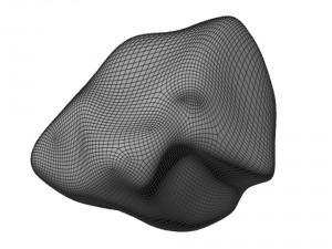 river rock Modello 3D
