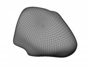 river rock Modello 3D