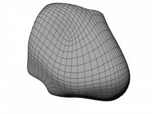 river rock Modello 3D