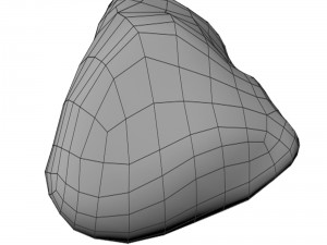 river rock Modello 3D