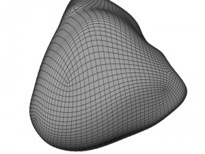 river rock Modello 3D
