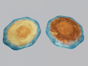 teacup and saucer blue glazed 3D Model