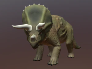 triceratops-low-poly 3D Model