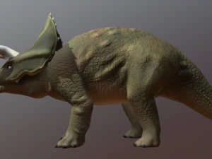 triceratops-low-poly 3D Model