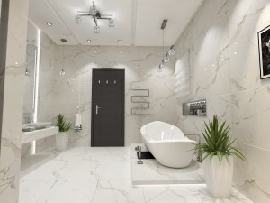 toilets-group01 3D 模型