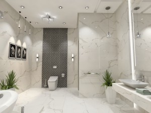 toilets-group01 3D 模型