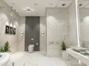 toilets-group01 3D Model
