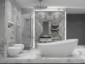 toilets-group01 3D Model