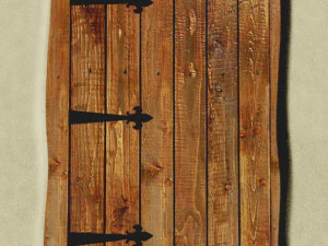 오래된 나무 문 3D 모델